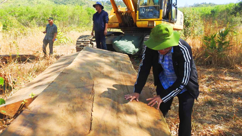Kon Tum: Liên tiếp phát hiện nhiều bãi chứa gỗ khủng -0