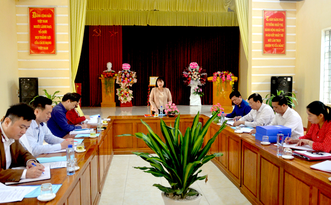 Phó Chủ tịch HĐND tỉnh Hoàng Thị Thanh Bình phát biểu tại buổi làm việc