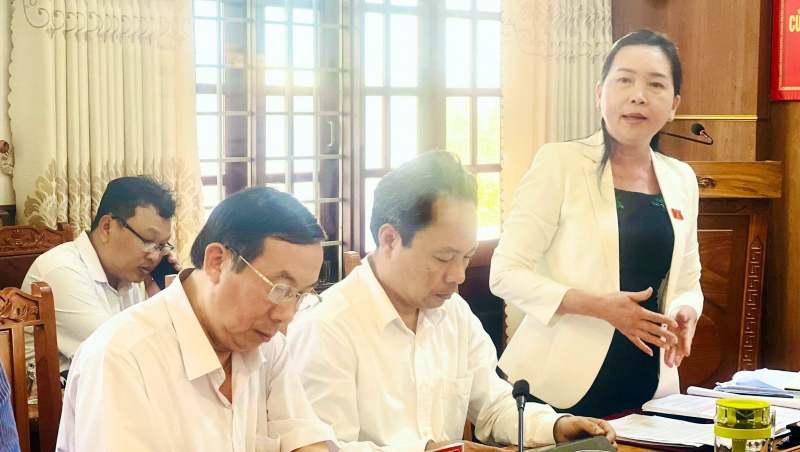 Đoàn giám sát của Ủy ban Thường vụ Quốc hội làm việc tại Bình Định -3