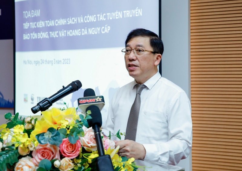 Phó Trưởng ban Thường trực Ban Công tác đại biểu Nguyễn Tuấn Anh phát biểu. Ảnh: Hồ Long