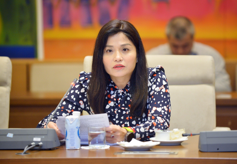 Ủy viên Thường trực Ủy ban Đối ngoại Thái Quỳnh Mai Dung phát biểu 