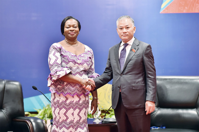 Phó Chủ nhiệm Ủy ban Đối ngoại Đôn Tuấn Phong chào Chủ tịch Quốc hội Malawi -3