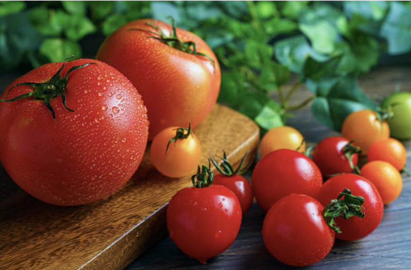 Những công dụng đáng chú ý của cà chua đối với sức khỏe và sắc đẹp -0