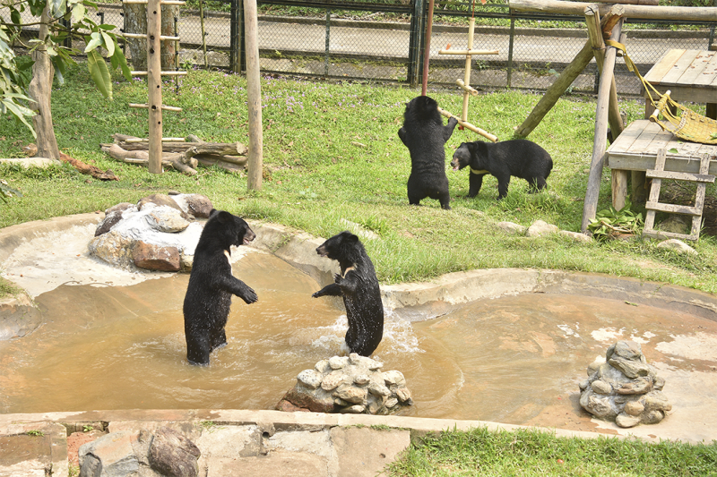 Khánh thành Trung tâm cứu hộ gấu Việt Nam tại Vườn Quốc gia Bạch Mã -0