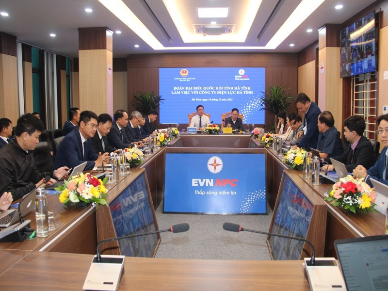 Đoàn Đại biểu Quốc hội tỉnh Hà Tĩnh làm việc với ngành điện Hà Tĩnh về hoạt động điện  -0