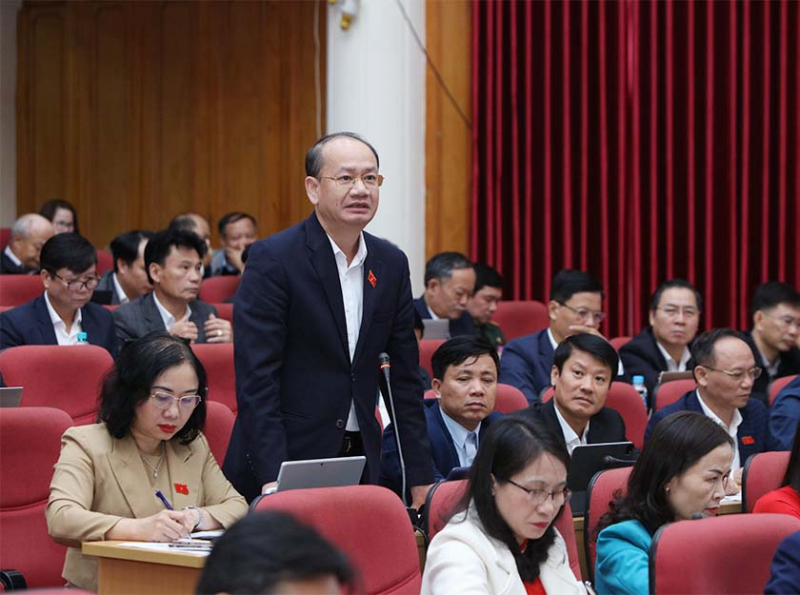 Đại biểu Phan Tấn Linh chất vấn tại kỳ họp - Ảnh H. Phong