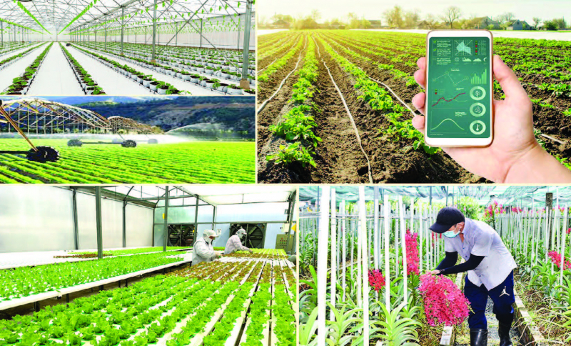 Nông nghiệp duy trì tăng trưởng cao nhờ khoa học công nghệ -0
