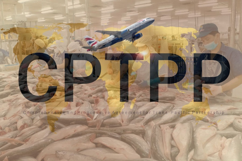 Sau 5 năm, tỷ trọng thị trường CPTPP tăng từ 25% lên 27%  