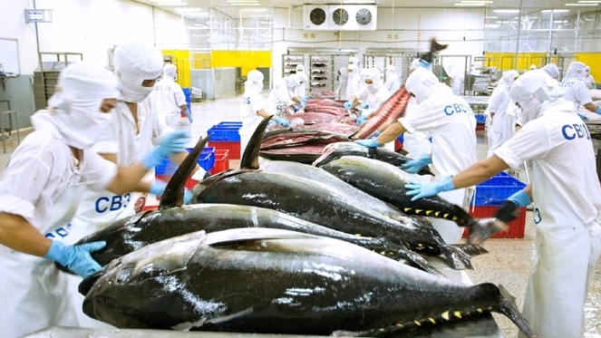 Năm 2024 xuất khẩu cá ngừ dự báo chậm phục hồi 