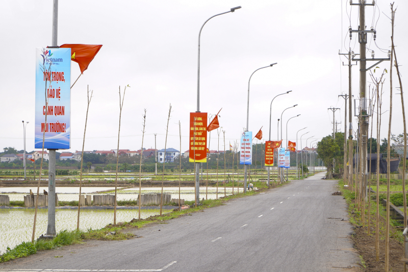 Hà Nội: Phát động Tết trồng cây “Đời đời nhớ ơn Bác Hồ” xuân Giáp Thìn 2024 tại huyện Đông Anh -0