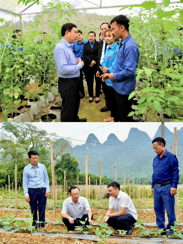 Quy hoạch tỉnh Hà Giang mở đường phát triển nhanh, bền vững -0