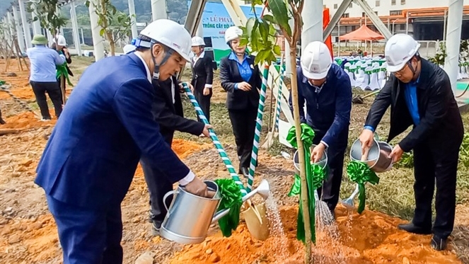 Các Đại biểu tham gia trồng cây sau lễ phát động hưởng ứng “Tết trồng cây” mừng Xuân Giáp Thìn năm 2024. Ảnh: EVN