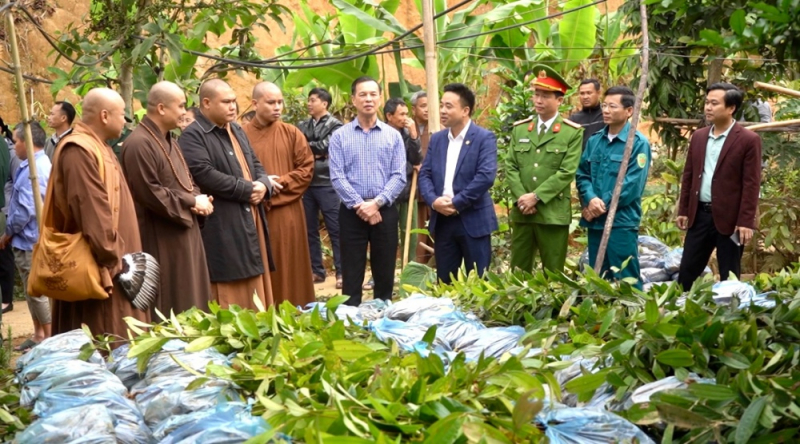 Lào Cai: 52.000 cây quế giống được trồng trong lễ phát động Phong trào thi đua “Chung sức xây dựng Nông thôn mới” -0