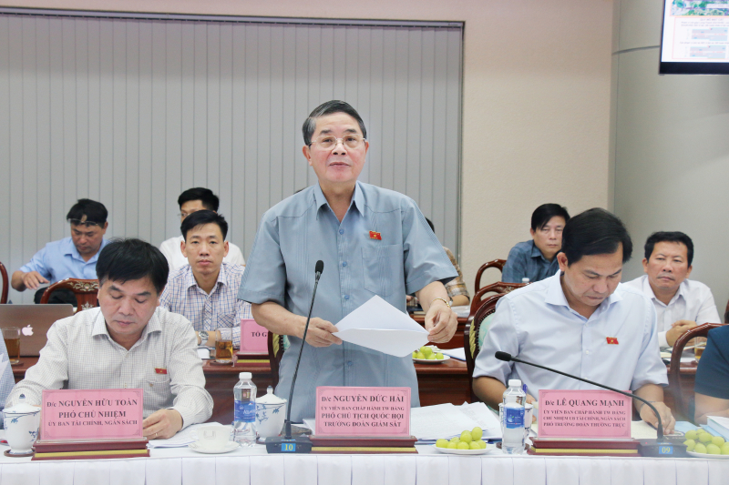 Phó Chủ tịch Quốc hội Nguyễn Đức Hải phát biểu tại cuộc làm việc với UBND tỉnh Đồng Nai 