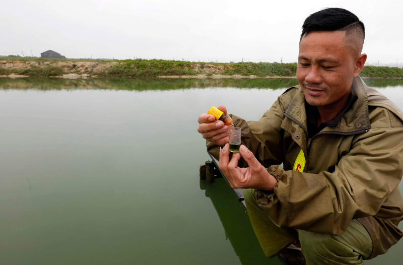 Ông Lê Viết Phong đang kiểm tra độ mặn của hồ cá