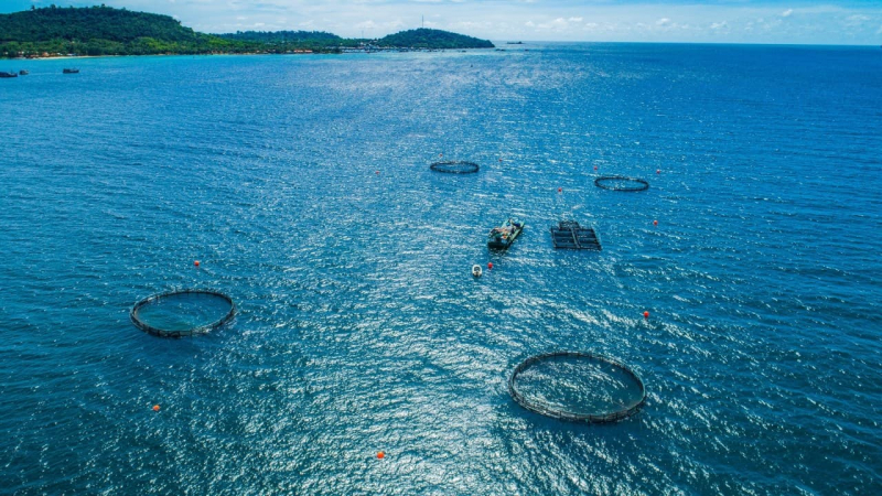 Cần chính sách minh bạch để thu hút doanh nghiệp đầu tư nuôi biển. Nguồn:ITN