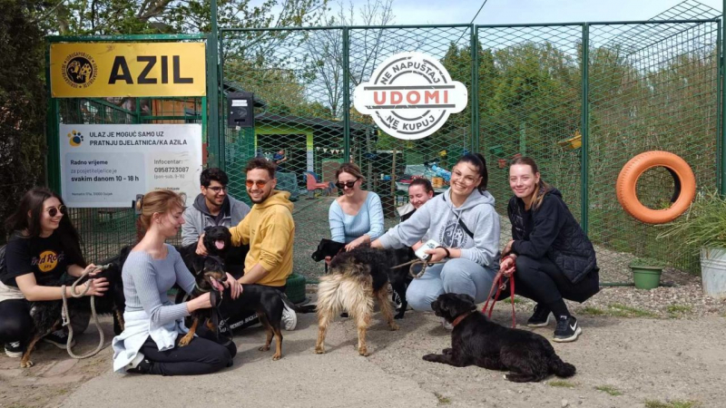 Osijek Asylum, nơi trú ẩn dành cho những chú chó bị bỏ rơi, tiếp nhận 400 chú chó mỗi năm ở Croatia. Nguồn ảnh: Osijek Asylum