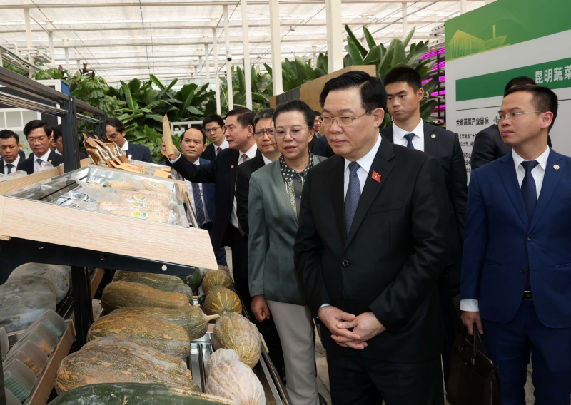 Chủ tịch Quốc hội Vương Đình Huệ thăm một số mô hình kinh tế tiêu biểu của tỉnh Vân Nam, Trung Quốc -0