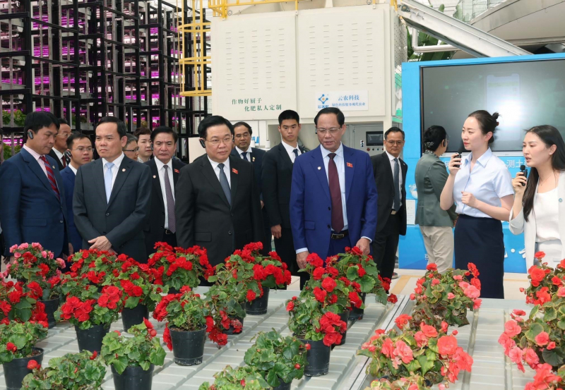 Chủ tịch Quốc hội Vương Đình Huệ thăm một số mô hình kinh tế tiêu biểu của tỉnh Vân Nam, Trung Quốc -1