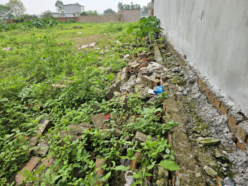 Thị xã Thuận Thành (Bắc Ninh): Cử tri kêu cứu đất sổ đỏ bị lấn chiếm, tài sản bị phá hoại -0