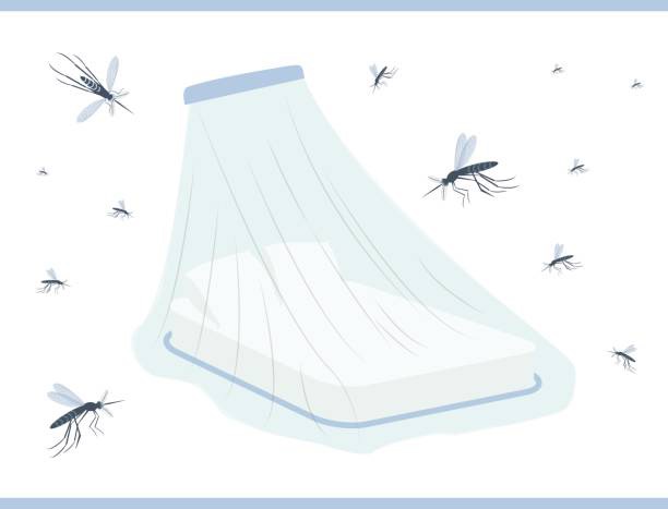 10 lời khuyên hữu ích giúp giảm nguy cơ mắc bệnh sốt rét -0
