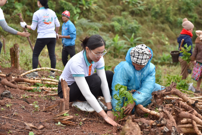 abbank thành công gây quỹ 50.000 cây gỗ lớn cho các gia đình khó khăn tỉnh quảng bình
 -0