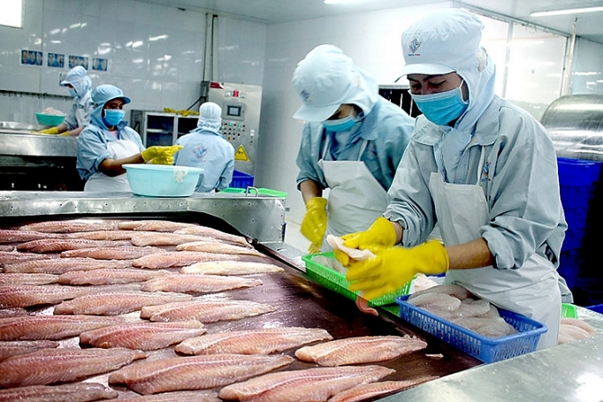 Giá xuất khẩu cá tra dự báo tăng khoảng 10% trong nửa cuối năm nay. Nguồn:ITN