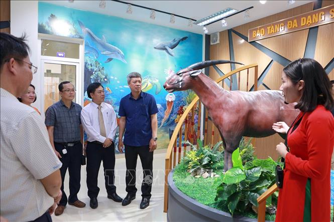 Ra mắt Bảo tàng đa dạng sinh học cấp tỉnh đầu tiên của Việt Nam