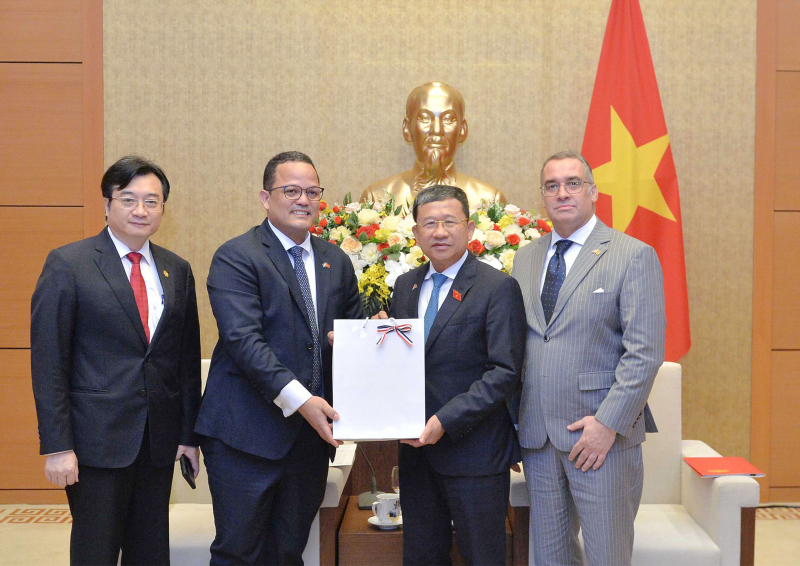 Chủ nhiệm Ủy ban Đối ngoại Vũ Hải Hà tiếp Đại sứ Dominica tại Việt Nam -0