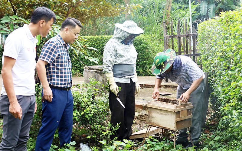 Người dân xã Xuân Hóa được hỗ trợ mô hình nuôi ong lấy mật để nâng cao chất lượng cuộc sống. Ảnh: Văn Minh