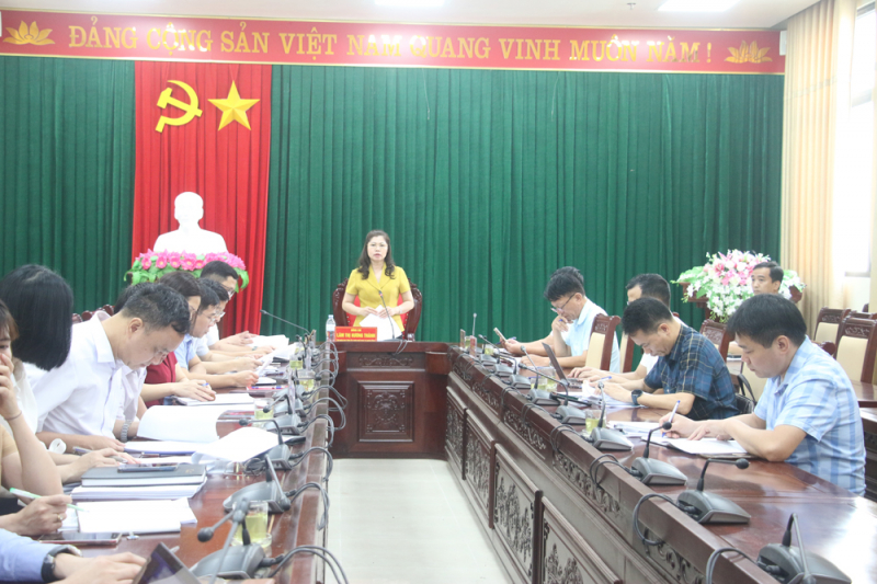 HĐND tỉnh Bắc Giang giám sát công tác quản lý, sử dụng tài sản công là nhà đất tại huyện Lạng Giang - ẢNH VŨ CƯỜNG