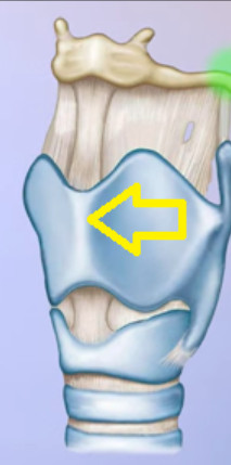 Bài tập phục hồi chức năng cơ quan tổn thương do bệnh bạch hầu thanh quản -0